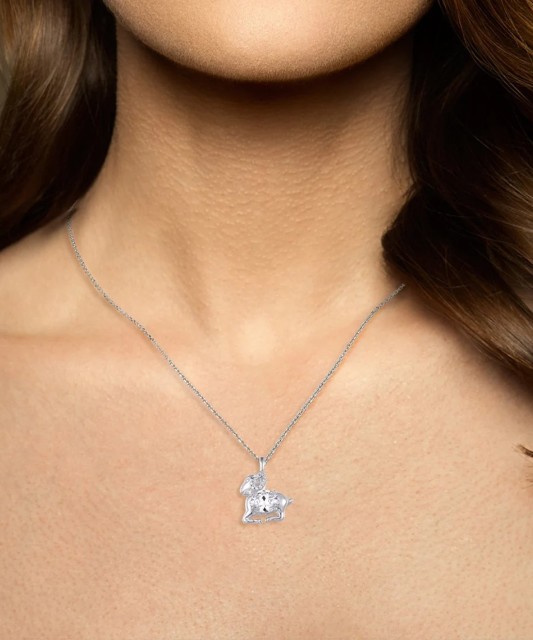 Sudraba kulons ar cirkonu "Auns"