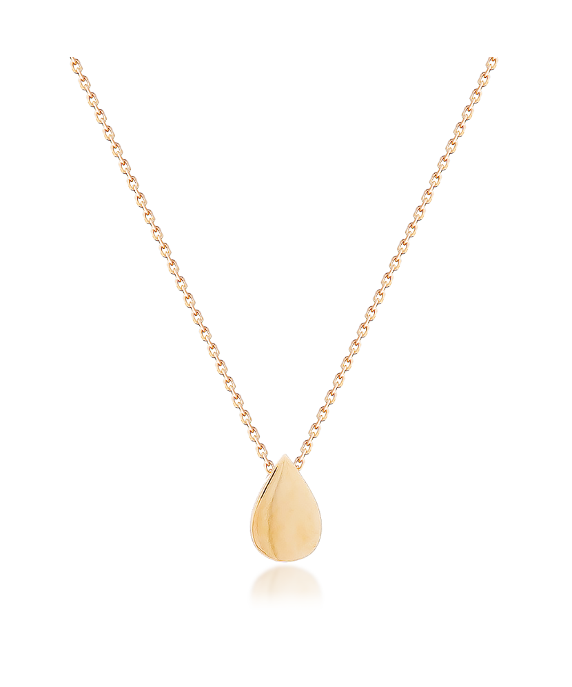 Zelta ķēdīte ar piekariņu - Goldinga