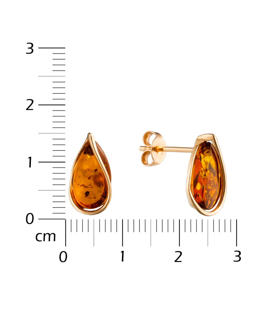 Zelta auskari ar dzintaru - Goldinga