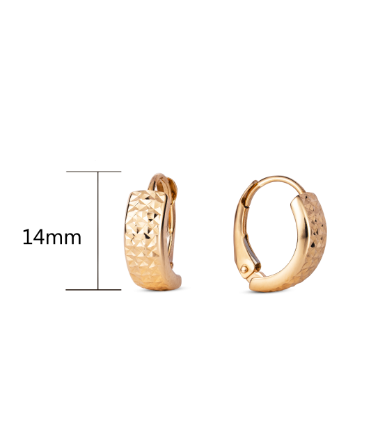 Zelta auskari - Goldinga