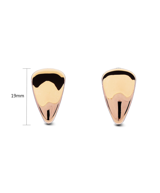 Zelta auskari - Goldinga