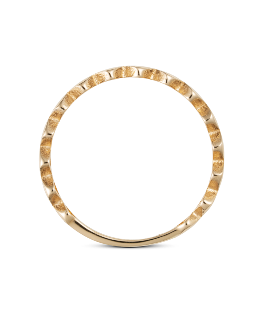 Золотое кольцо