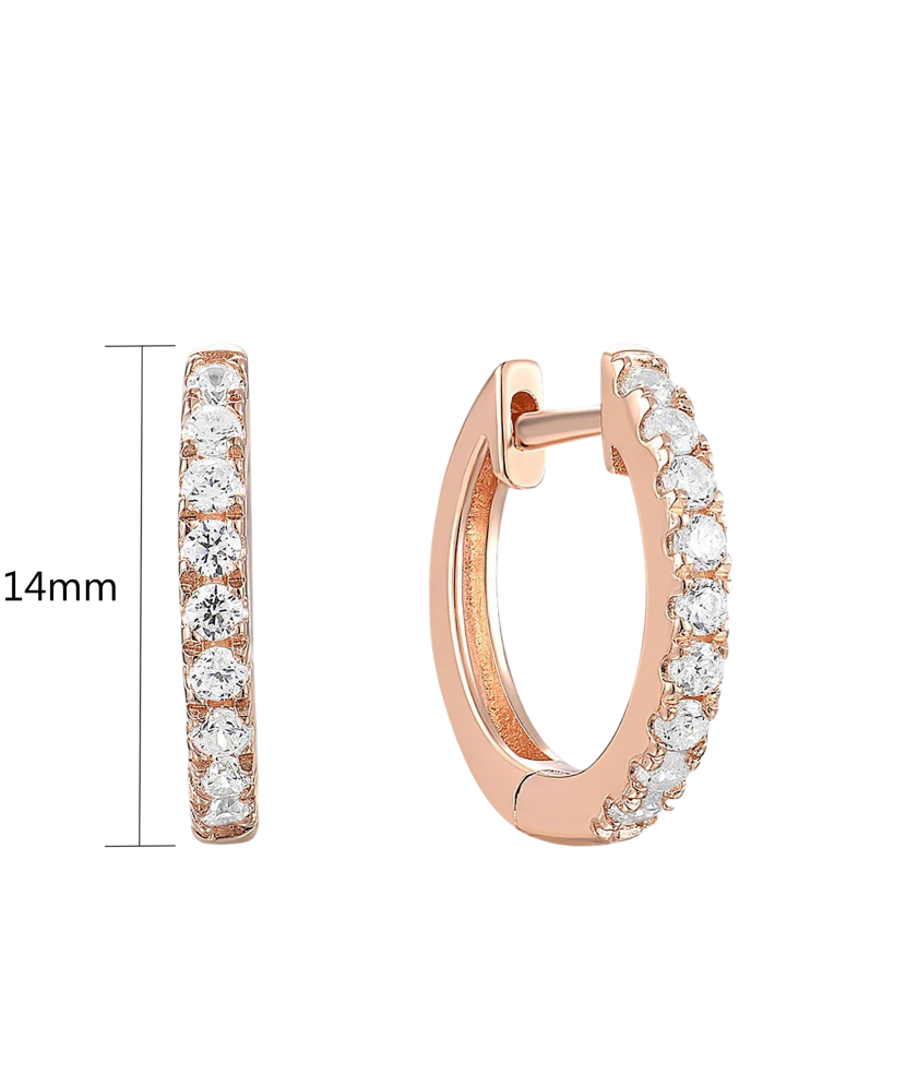 Apzeltīti Sudraba Auskari Ar Cirkonijiem