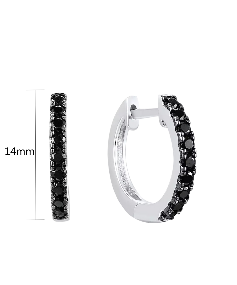 Sidabriniai auskarai su špineliais - Goldinga