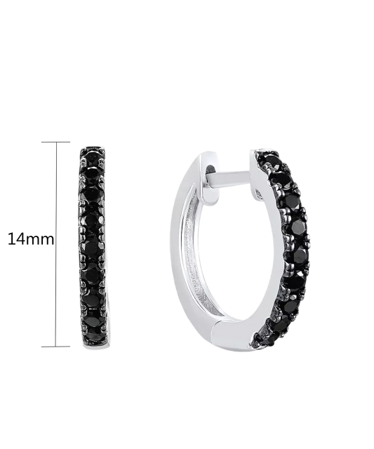 Sidabriniai auskarai su špineliais - Goldinga