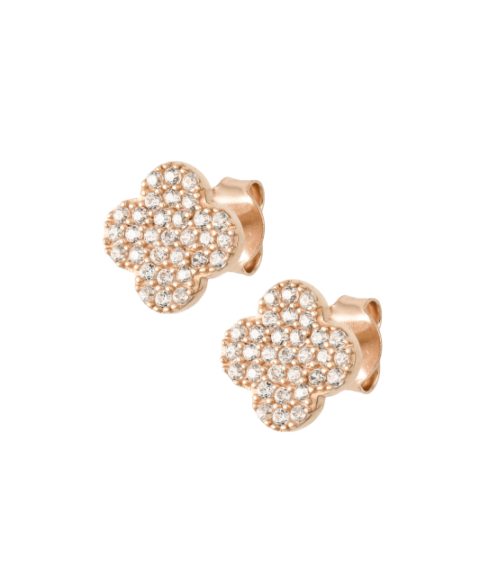 Zelta auskari ar cirkonijiem - Goldinga