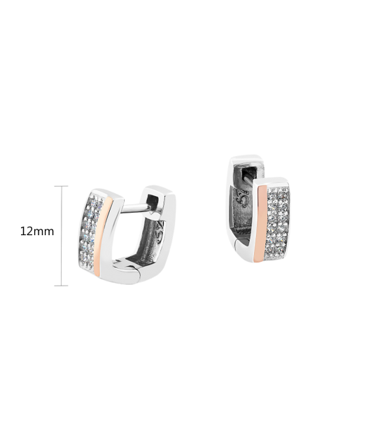 Apzeltīti sudraba auskari ar cirkonijiem - Goldinga