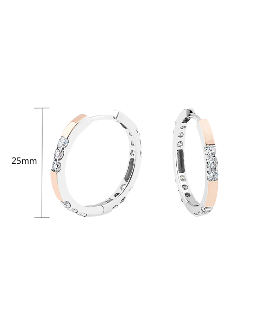 Apzeltīti sudraba auskari ar cirkonijiem - Goldinga