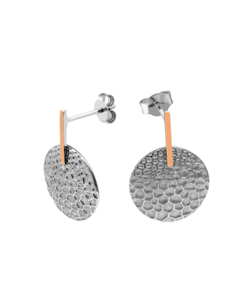 Apzeltīti sudraba auskari