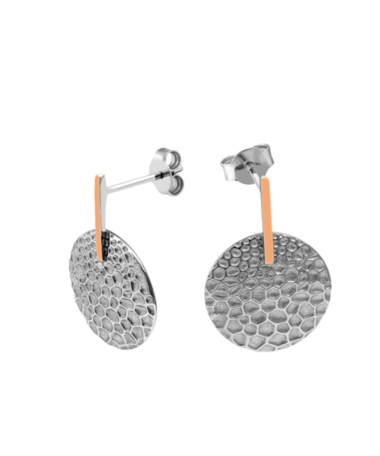 Apzeltīti sudraba auskari