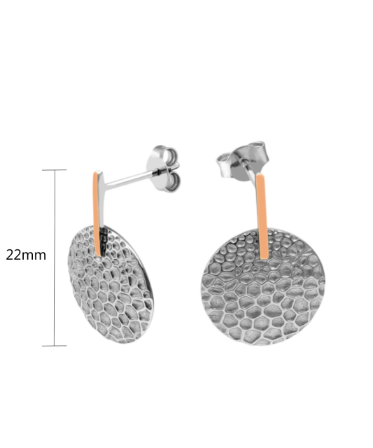 Apzeltīti sudraba auskari