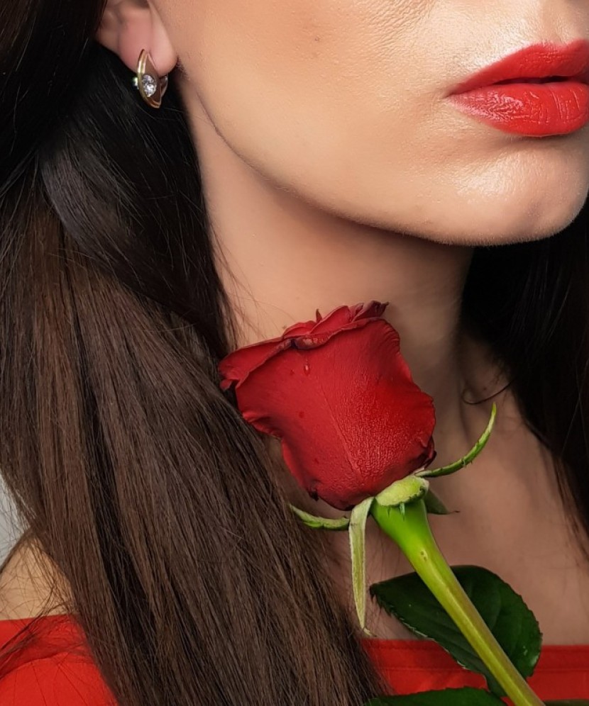 Apzeltīti sudraba auskari ar cirkonijiem