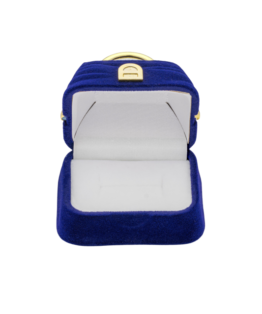 Kastīte somiņa - Goldinga