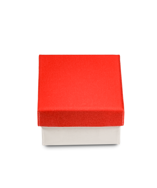 Juvelierizstrādājumu kastīte - Goldinga