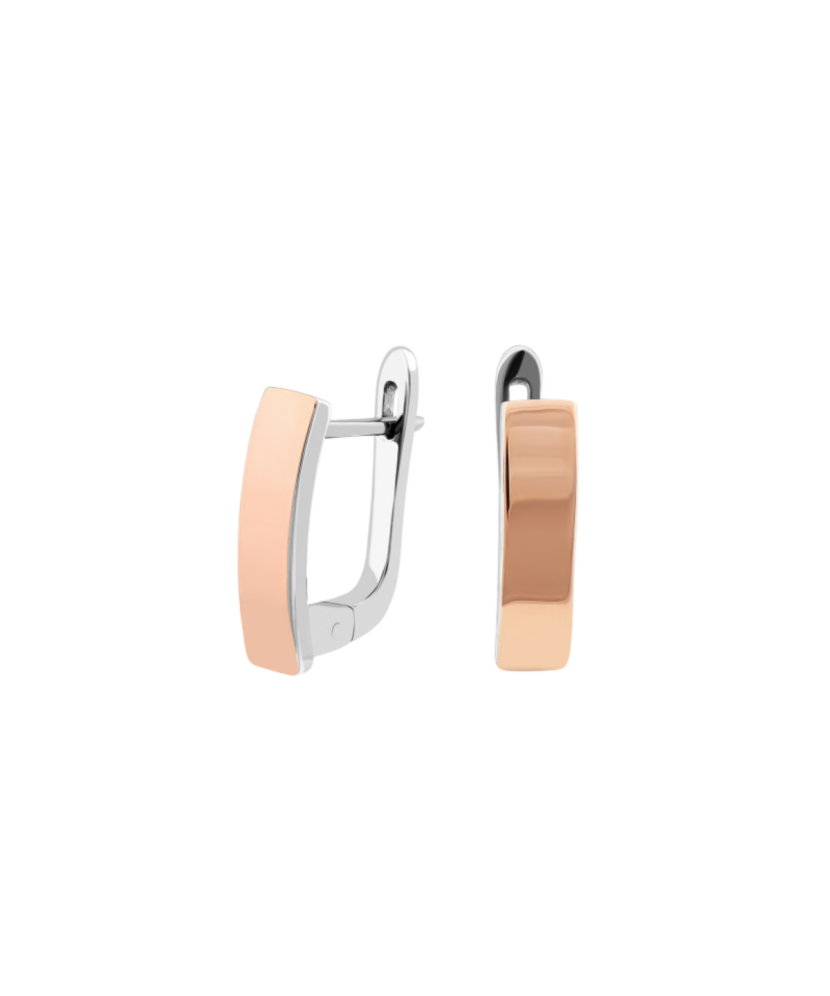 Apzeltīti sudraba auskari