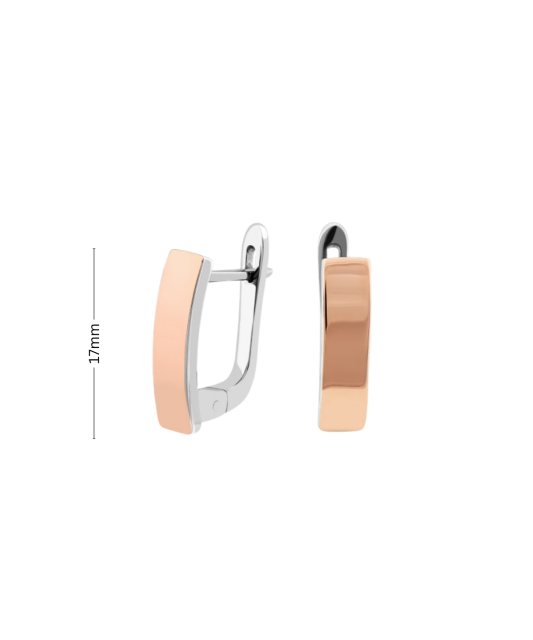 Apzeltīti sudraba auskari