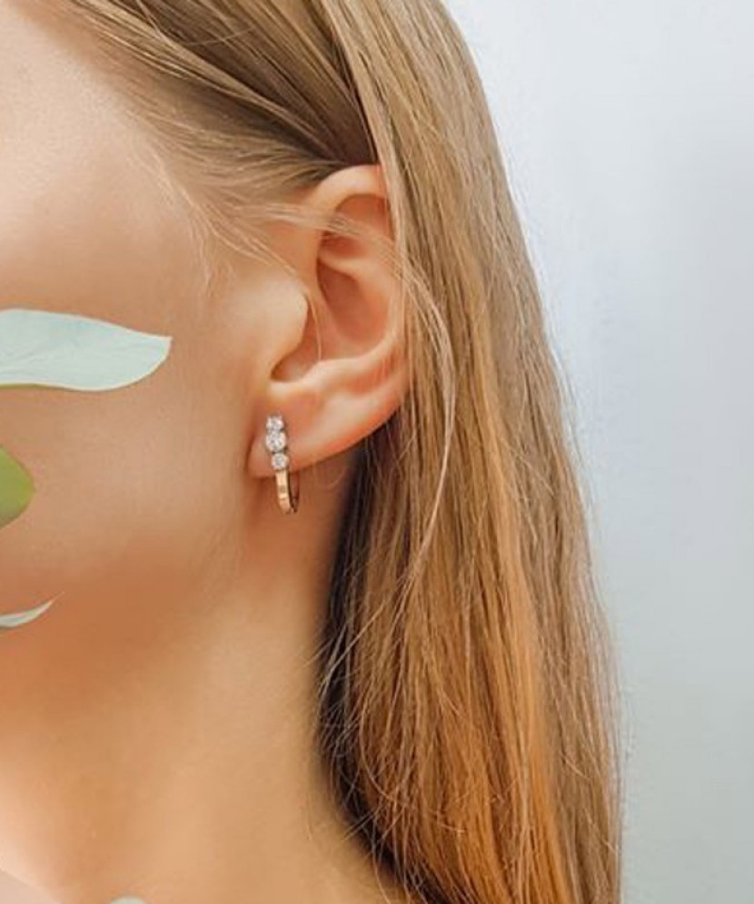 Apzeltīti Sudraba Auskari Ar Cirkonijiem