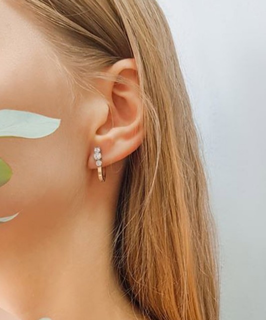 Apzeltīti Sudraba Auskari Ar Cirkonijiem