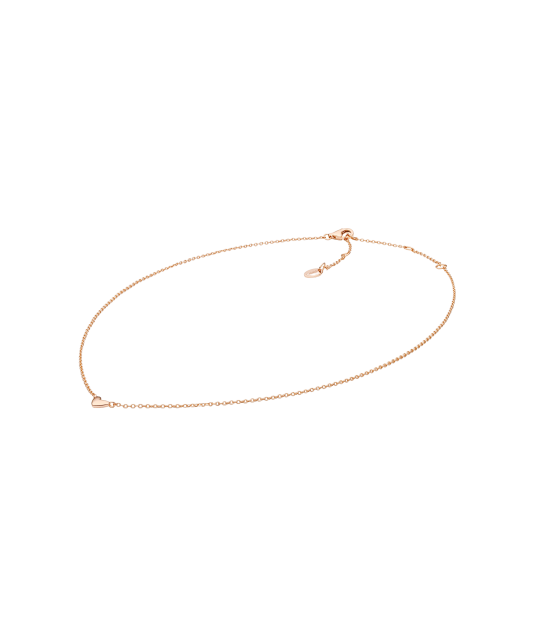 Apzeltīts sudrabs ķēdīte ar piekariņu