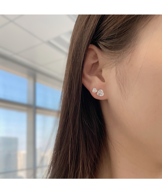 Sudraba auskari ar cirkonijiem