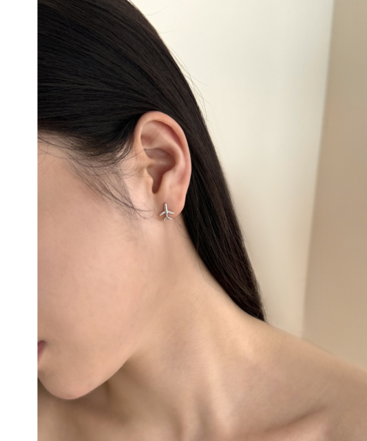 Sudraba auskari ar cirkonijiem