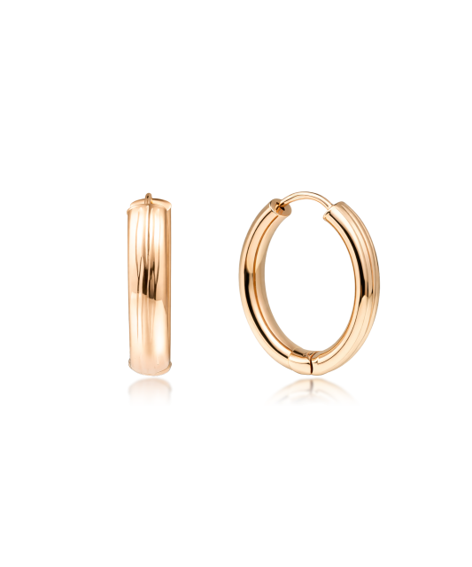 Zelta gravēti auskari