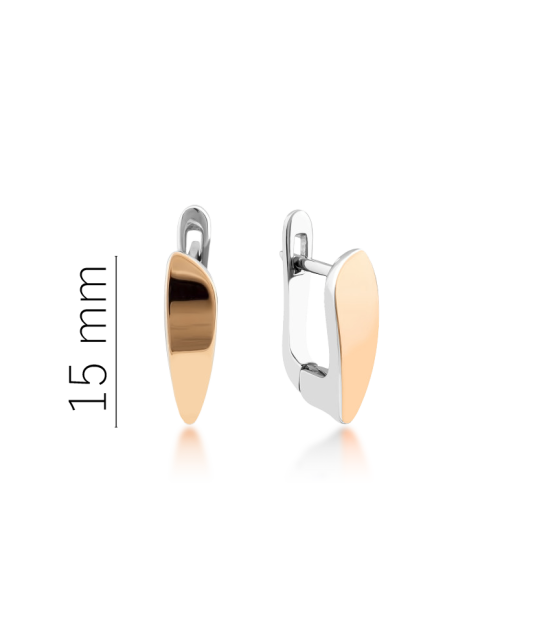 Apzeltīti sudraba auskari