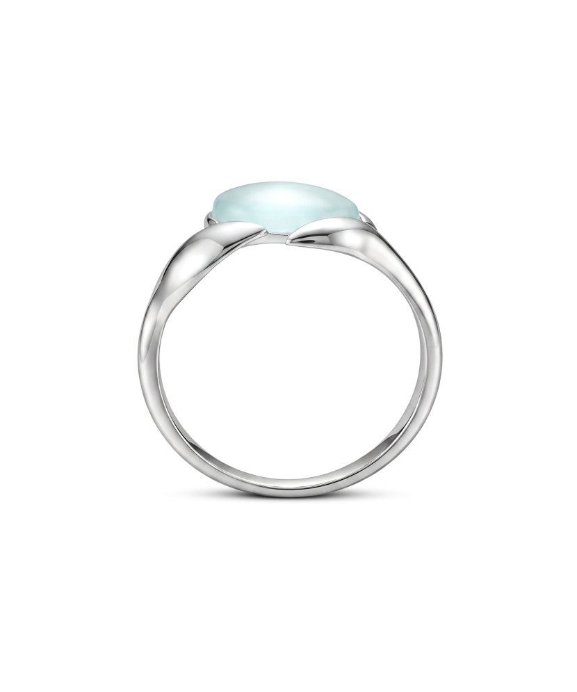 Sudraba gredzens ar ahātu