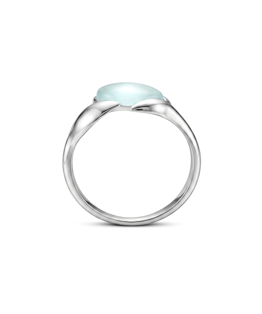 Серебряное кольцо с агатом