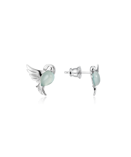 Sudraba auskari ar ahātu