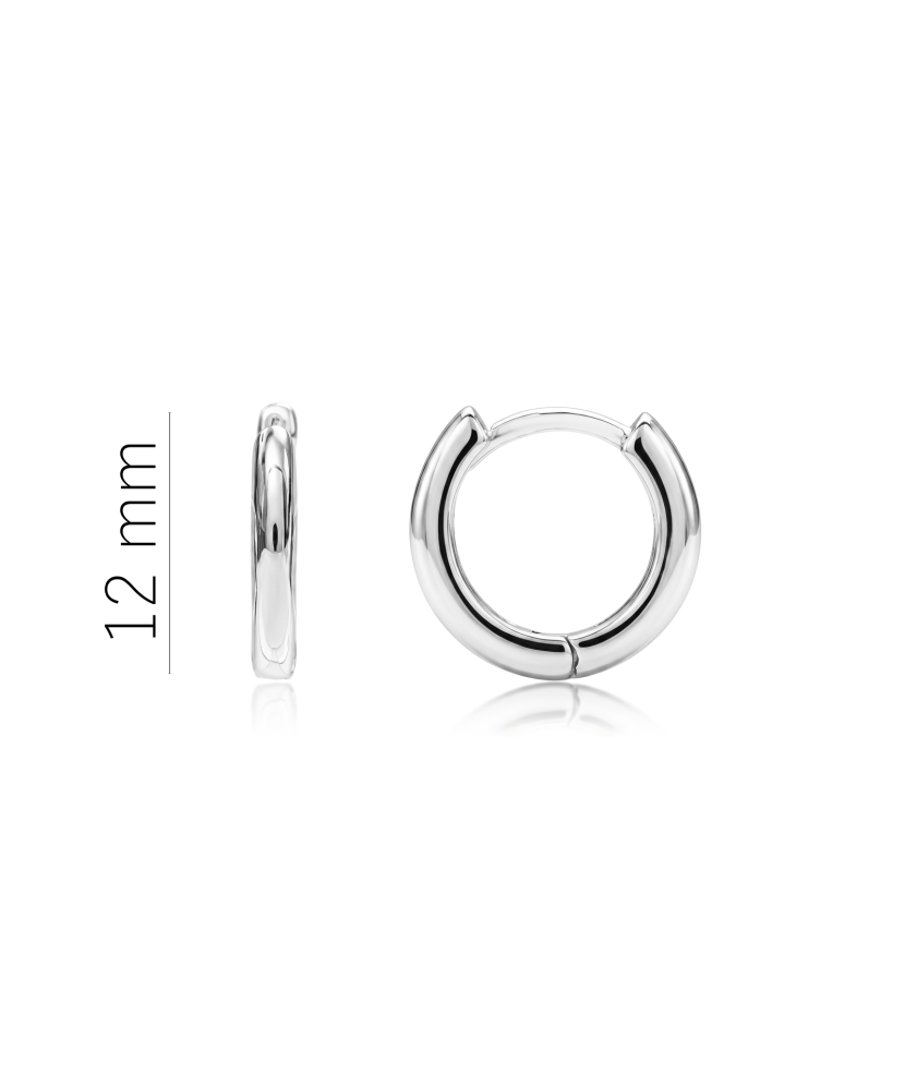Sudraba auskari