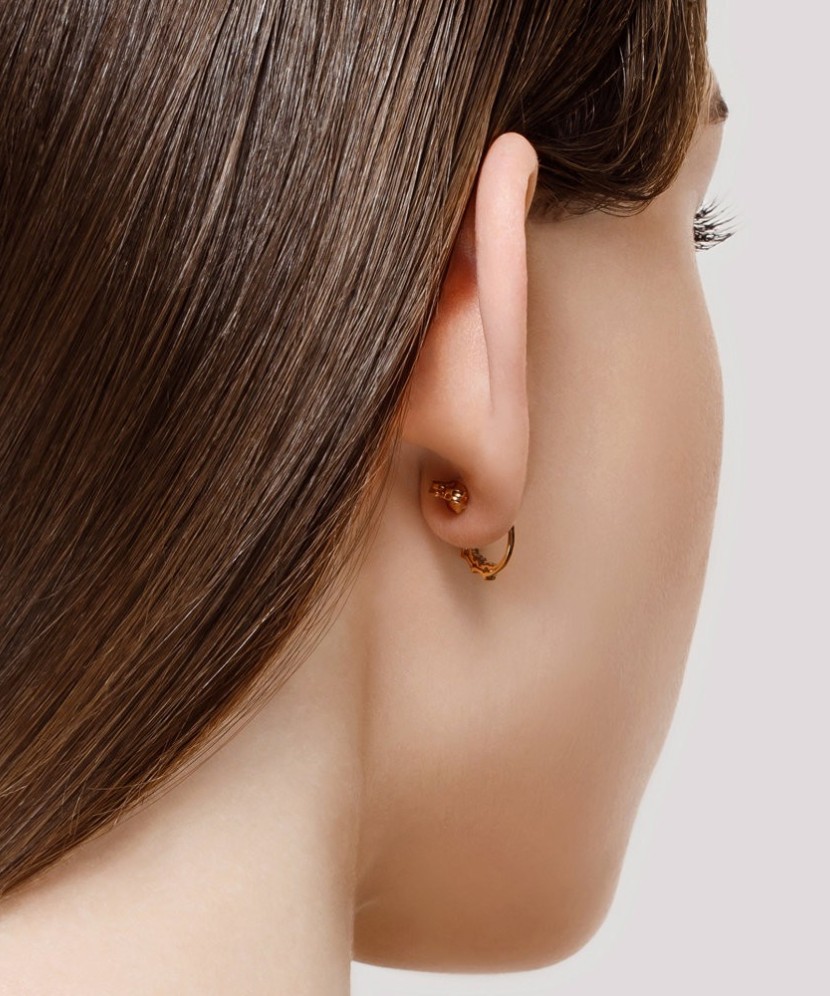 Zelta auskari ar cirkonijiem - Zelta Auskari - Goldinga